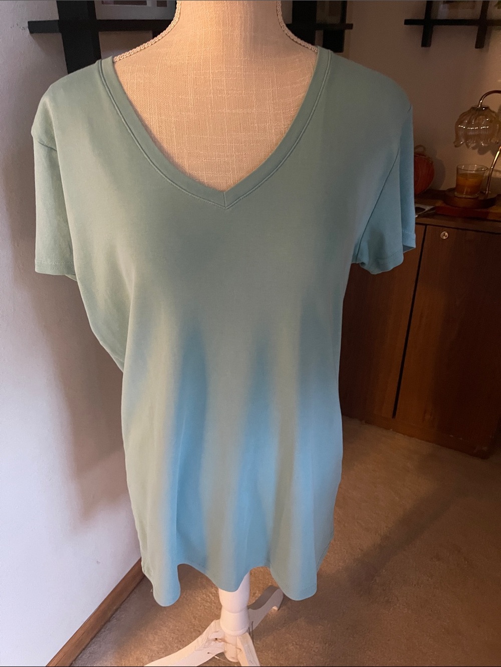 Kirkland Signature Women’s V-Neck Short Sleeve Tee - Light Aqua